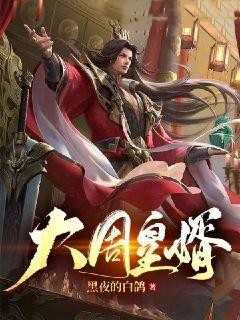 大周皇婿 黑夜的白鸽