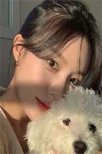 沈辞许卿如全文免费阅读