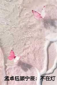 不在灯火阑珊处顾宁辰全文 后续著