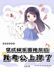 我考公上岸了全文免费阅读