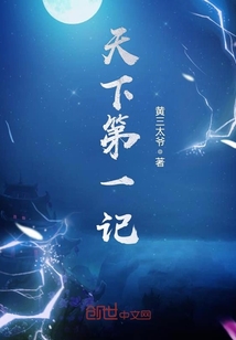 有一个主角叫苏辰