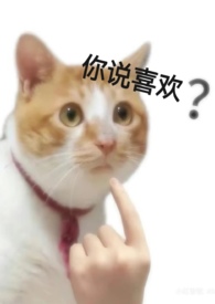 爱不起 np