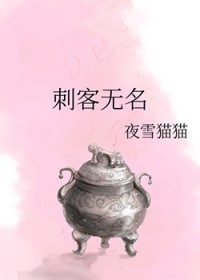 刺客无名讲的什么好看吗