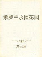 紫罗兰永恒花园壁纸4k超清