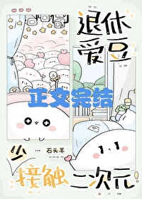 退休爱豆少接触二次元免费阅读