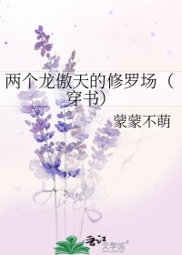 两个龙傲天的修罗场(穿书)讲的什么