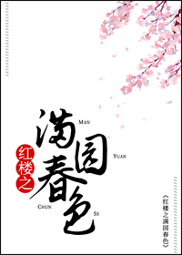 红楼梦之同人