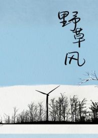 野草风by骨科