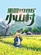 重回1986小山村全文阅读