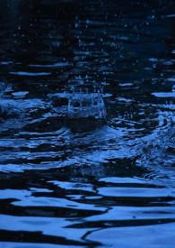春风雨纯百全文在线阅读免费