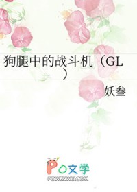狗腿中的战斗机(GL)