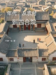 年代从农村到四合院平静一生全文免费阅读