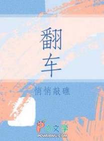 翻车视频
