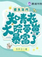 主角萧北七的