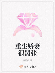 李辰安宁楚楚全集