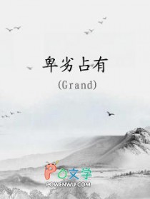 卑劣占有by讲的什么