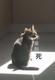 爱到死玻璃时针