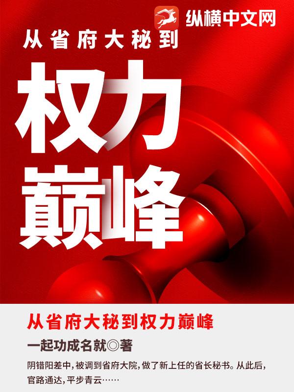 从省府大秘到权力巅峰的故事