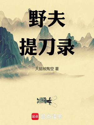 野夫提刀录TXT