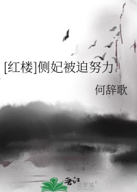 红楼侧妃被迫努力何辞歌