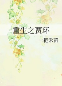 重生贾环文武双全的