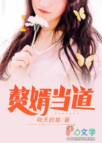 赘婿当道TXT