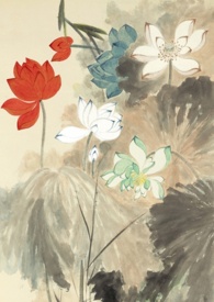 明月天衣