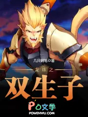 龙珠之双生子免费阅读