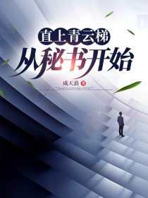 直上青云新书