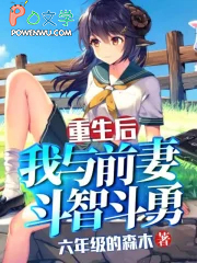 我与前妻斗智斗勇免费阅读