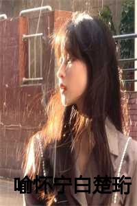 喻楚苏晏白