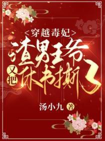 毒妃穿越成王妃