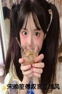 宋晚风傅沉 16995免费阅读