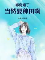 秦安叶海燕