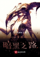 暗黑破坏神黑暗之路