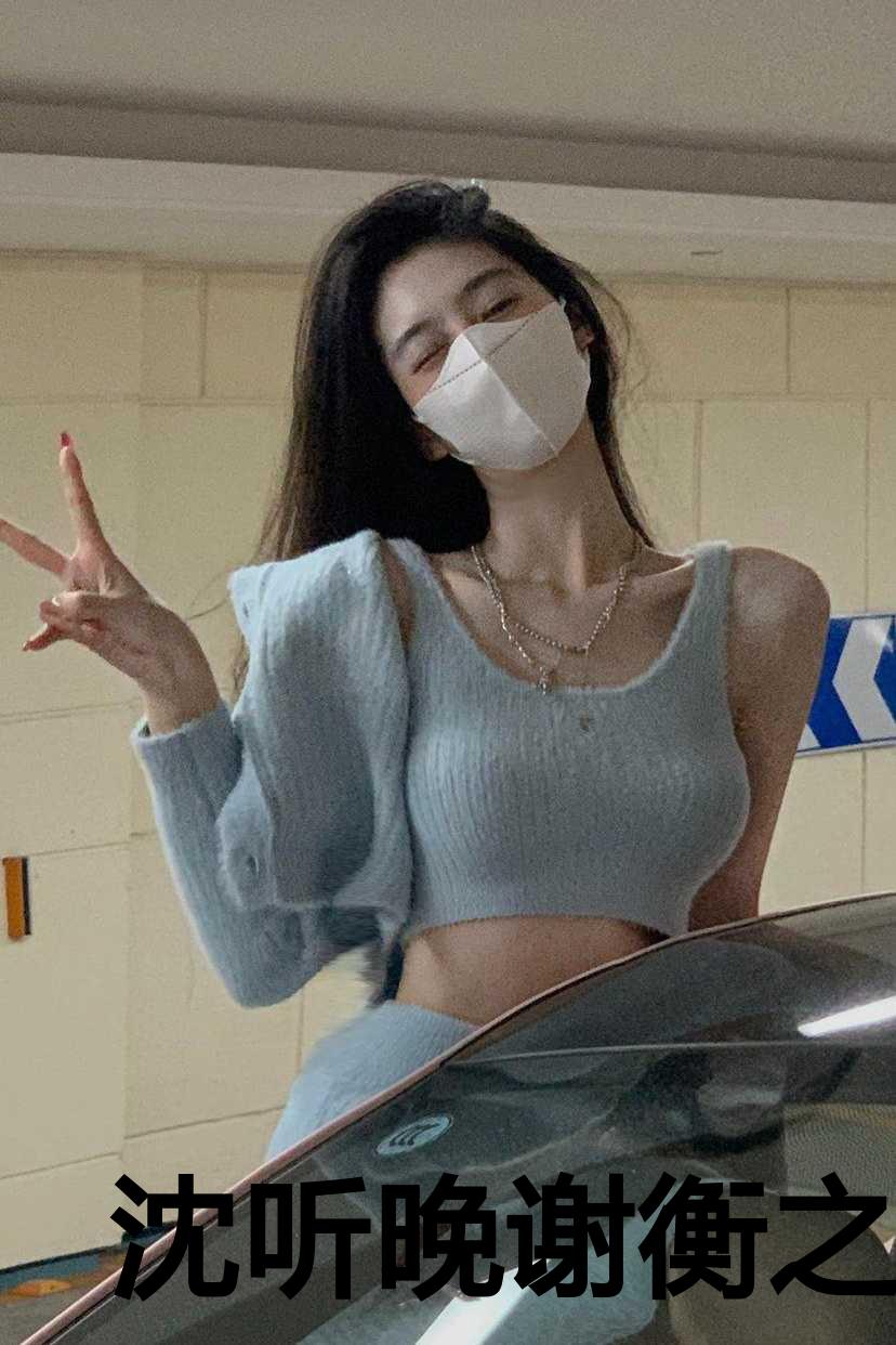 沈听晚谢衡之完整版