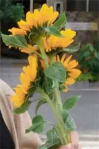 陆芷筠裴重锦免费读