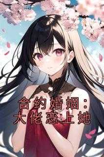 叶先生是什么意思