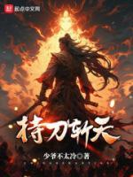 持刀斩天TXT少爷不太冷
