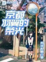 京都羽翼的荣光 黑茶