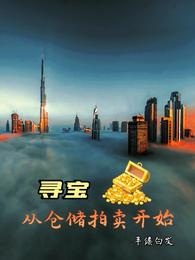 寻宝从仓储拍卖开始TXT奇书网