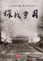 我的谍战岁月百度