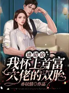 进错房我怀上首富大佬的双胎大结局