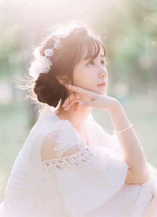 白芷是什么
