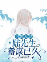 沈乔陆泽安最新章节更新免费阅读全文