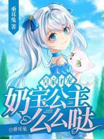 苏小宝南宫时渊合集