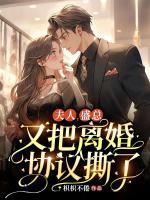 男主叫盛淮的