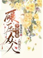 云慕寒云浅月