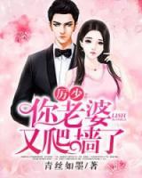 历少你老婆又爬王墙了
