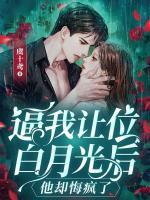 苏浅霍北淮完结版